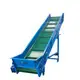 Gaoxin Machinery Infeed Conveyor Factory Price 2