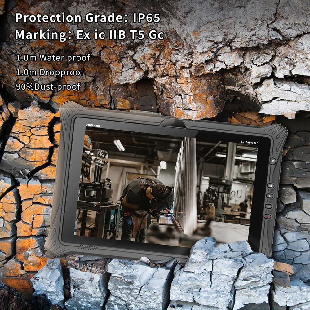 Aegex Tablet Price for Industry Ex Tablet10series 6