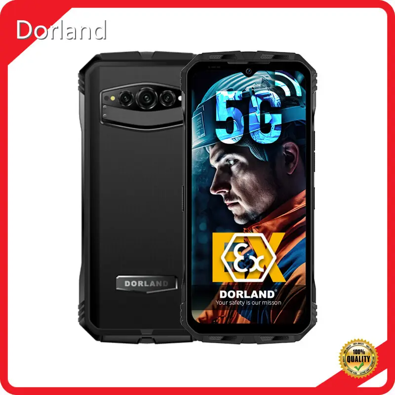Intrinsically Safe Gas Detector Versatile_5G - for Home - Dorland 1