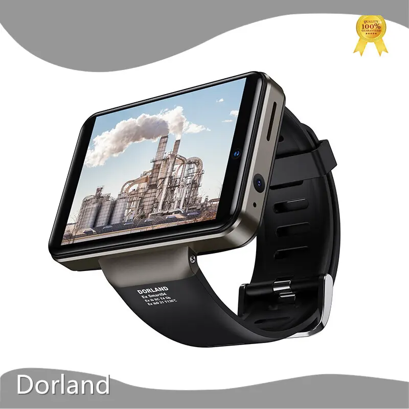 Dorland Intrinsically Safe Apparatus DORLAND Intrinsically Safe Apparatusfactory 1