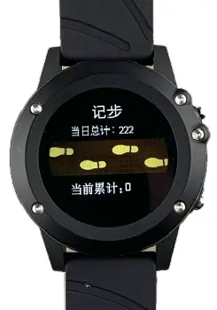 OEM Lora Watch Supply 4