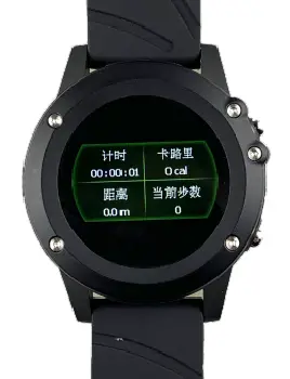 OEM Lora Watch Supply 6