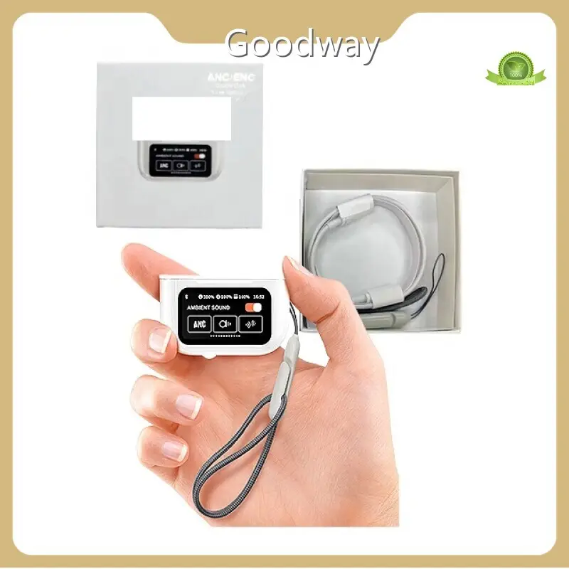 Best Smart Wearable Device Company 1
