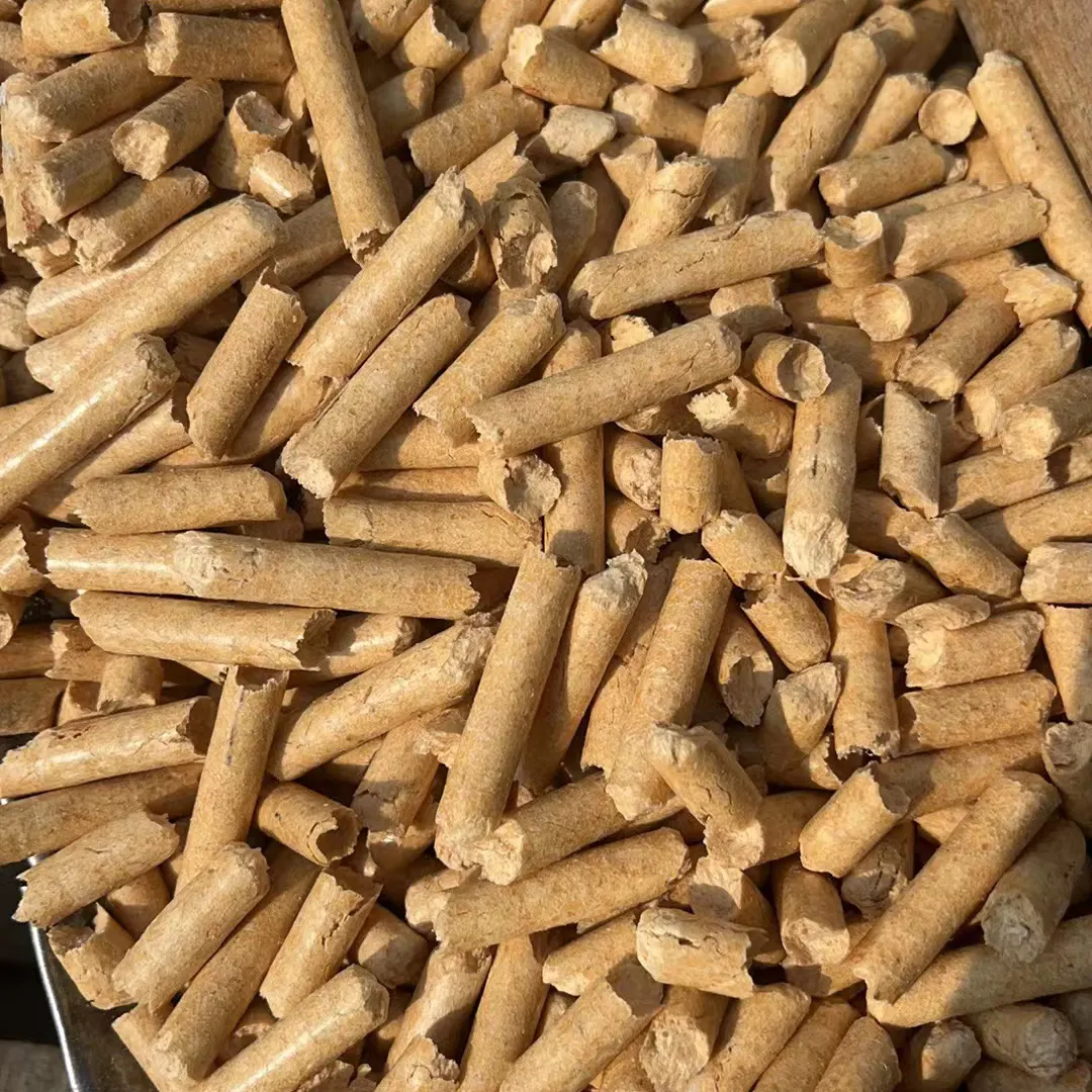 Cat Litter Factory - - FATKITTY 2