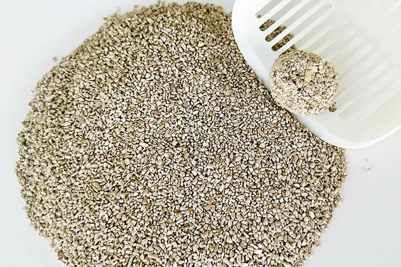 Wholesale Kitty Litter by FATKITTY-1 2