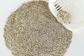 Wholesale Kitty Litter by FATKITTY-1 2