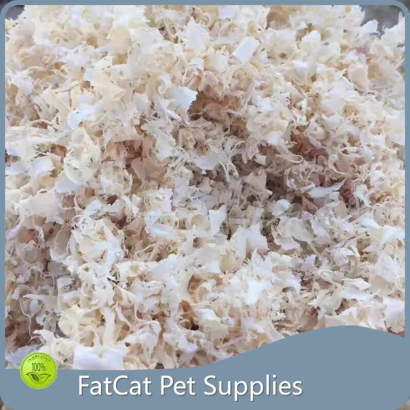 Cat Litter Supplier - - FATKITTY 1