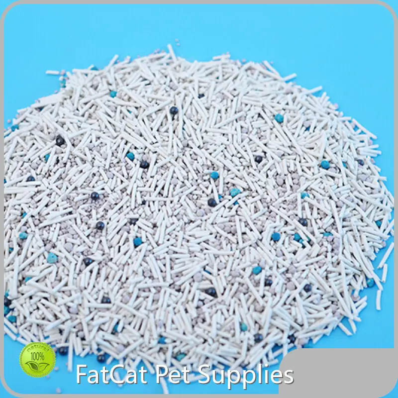 Cat Litter Wholesale Suppliers by FATKITTY 1