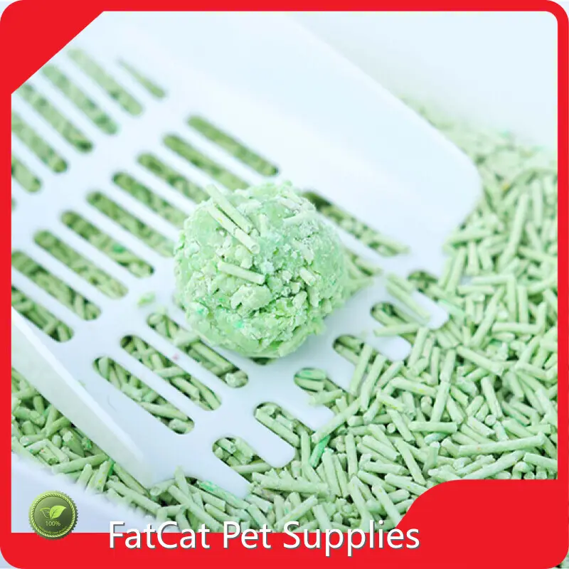 Kitty Litter Manufacturers - - FATKITTY 1
