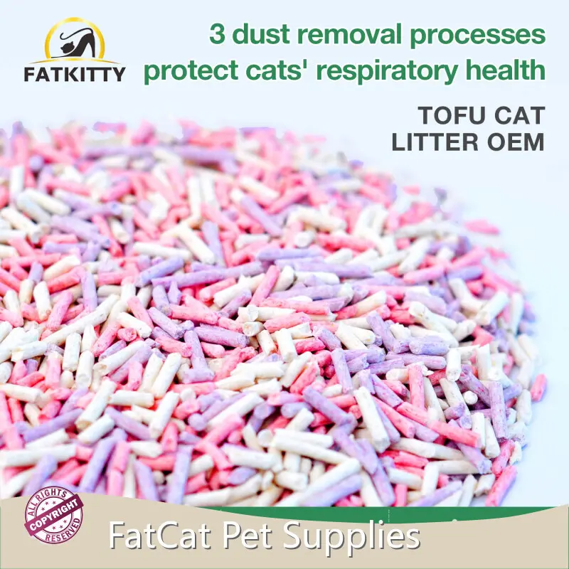 Kitty Litter Bulk Purchase by FATKITTY 1