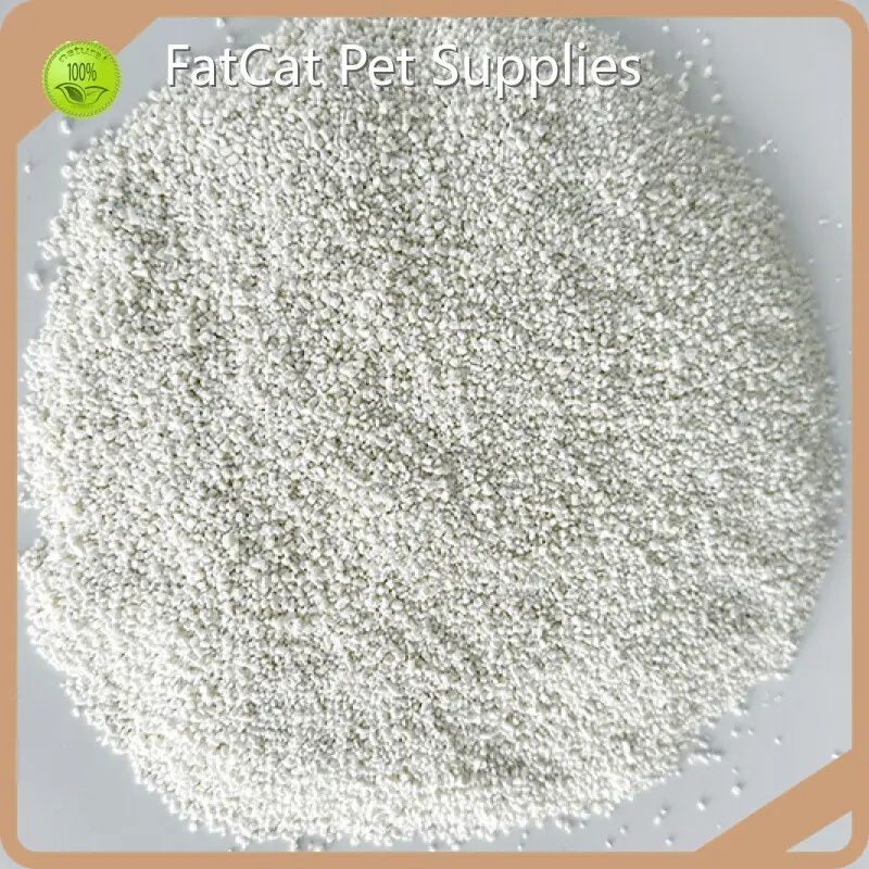 Environmentally Friendly Kitty Litter - - FATKITTY 1