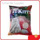 Cat Litter Wholesale Suppliers by FATKITTY-1 1