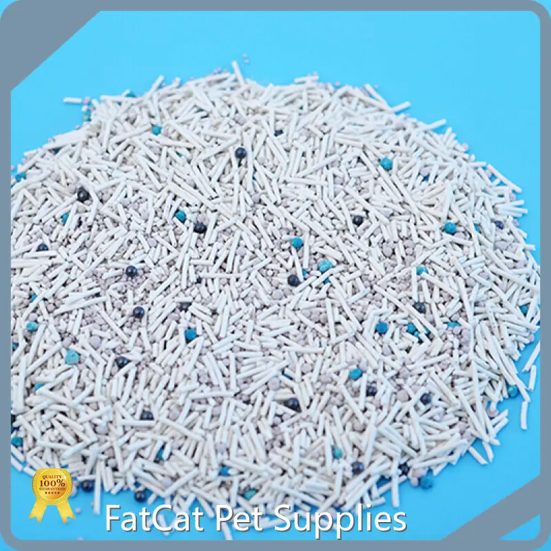 Buy Bulk Kitty Litter by FATKITTY 1