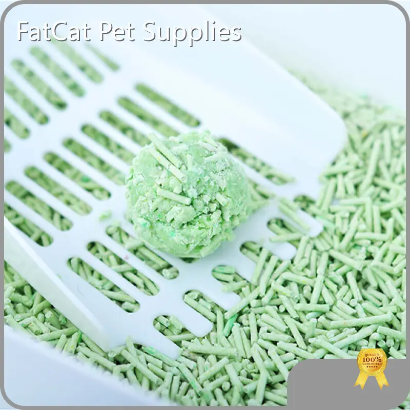 Best Tofu Cat Litter - - FATKITTY-1 1