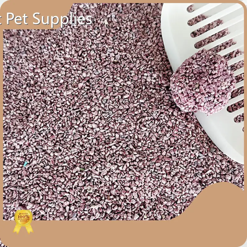 Cat Litter Supplier by FATKITTY-2 1