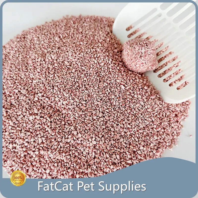 Buy Bulk Kitty Litter by FATKITTY-1 1