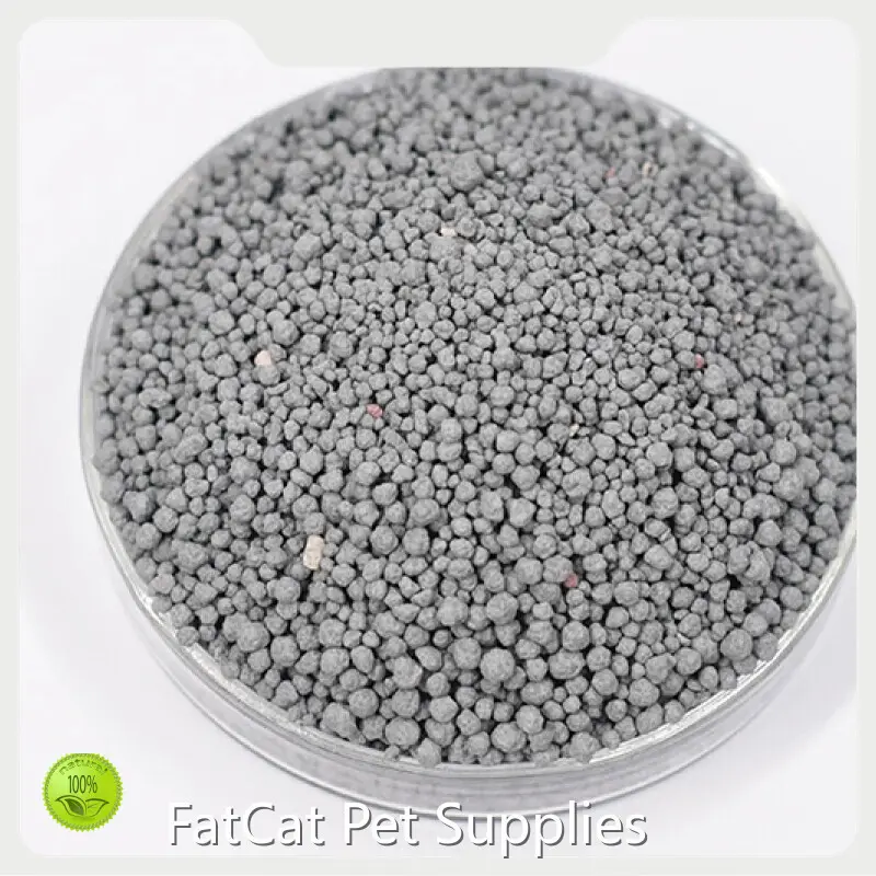 Bentonite Cat Litter Sand by FATKITTY 1
