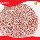 Buy Bulk Kitty Litter - - FATKITTY-1 1