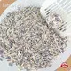 Cat Litter Wholesale Suppliers by FATKITTY-2 1