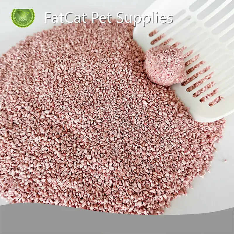Tofu Beads Cat Litter - - FATKITTY-2 1