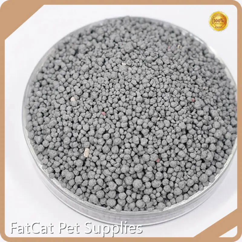Bentonite Litter for Cats - - FATKITTY 1