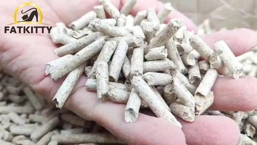 فضلات القطط من الصنوبر 1