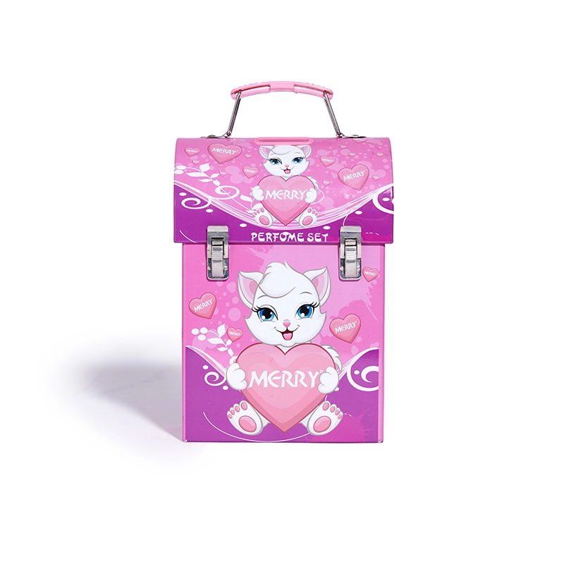 Chumboon package 
 Handheld lunch tin box 1