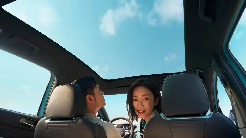 Professional Economic Electric Cars 5
