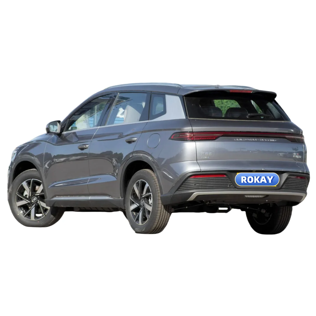 2024 Byd Song Pro Dmi 2