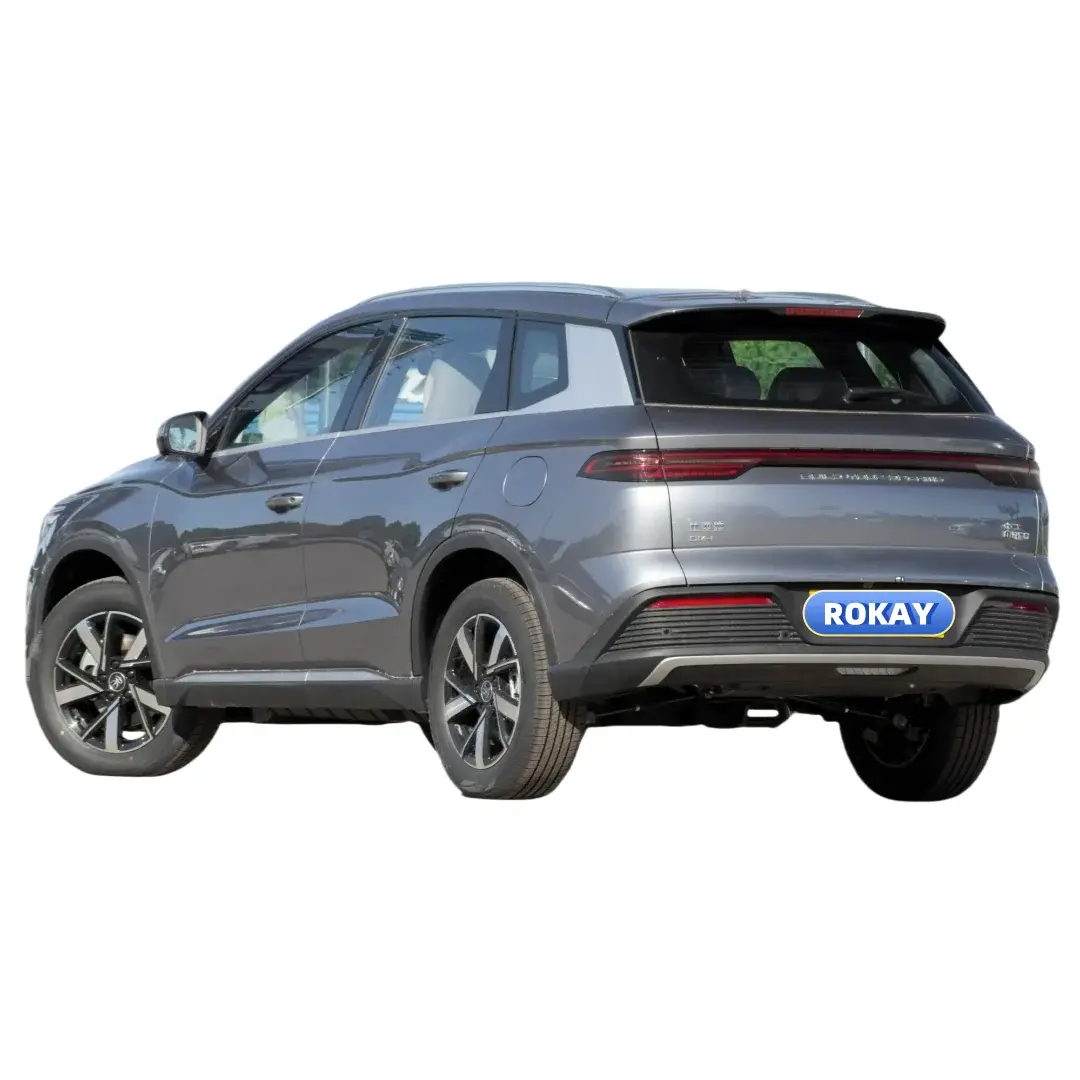 ROKAYAUTO Best Electric Luxury Sedans ACC Best Electric Luxury SedansDealer 2