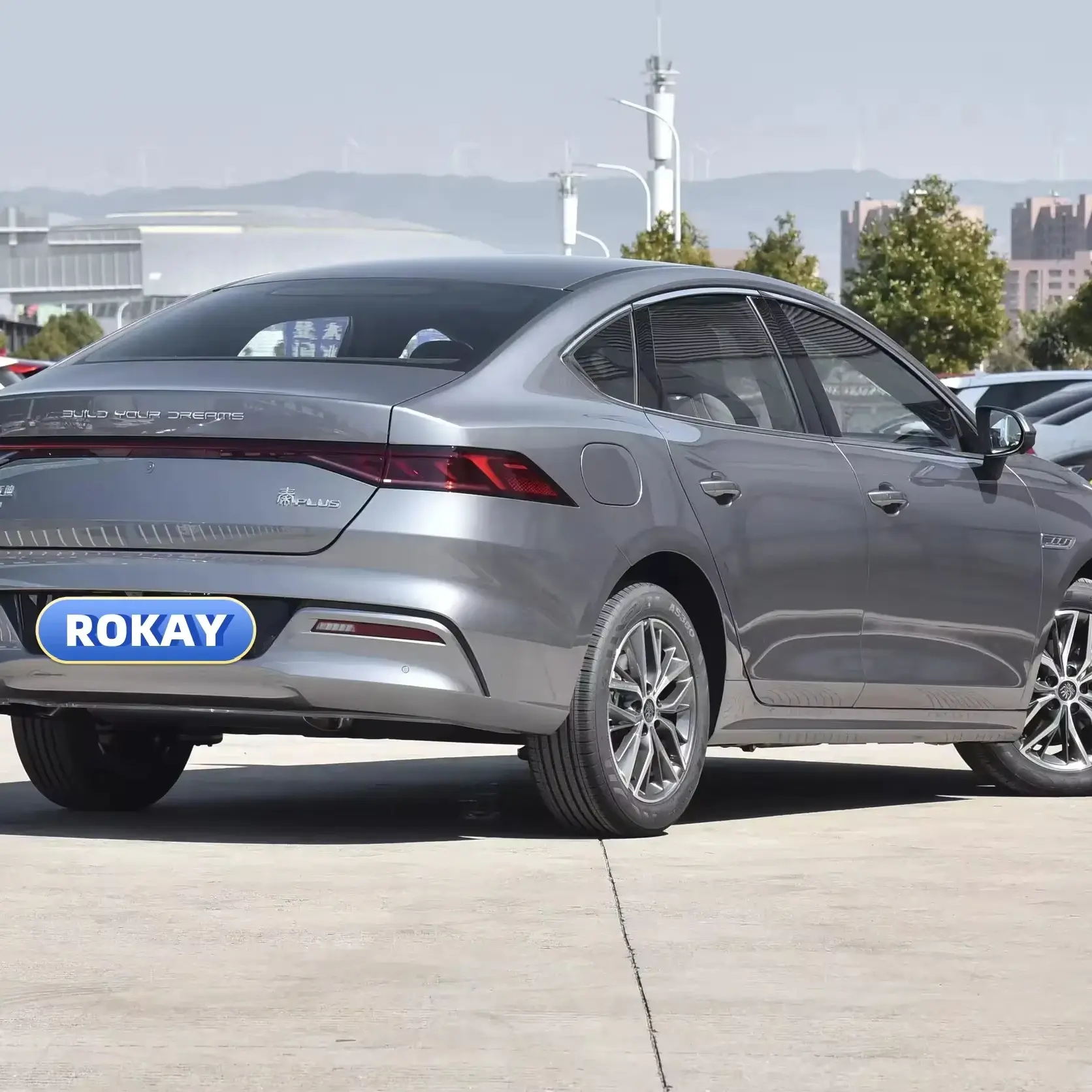 ROKAYAUTO Electric Sedan Car 360°Supply 3