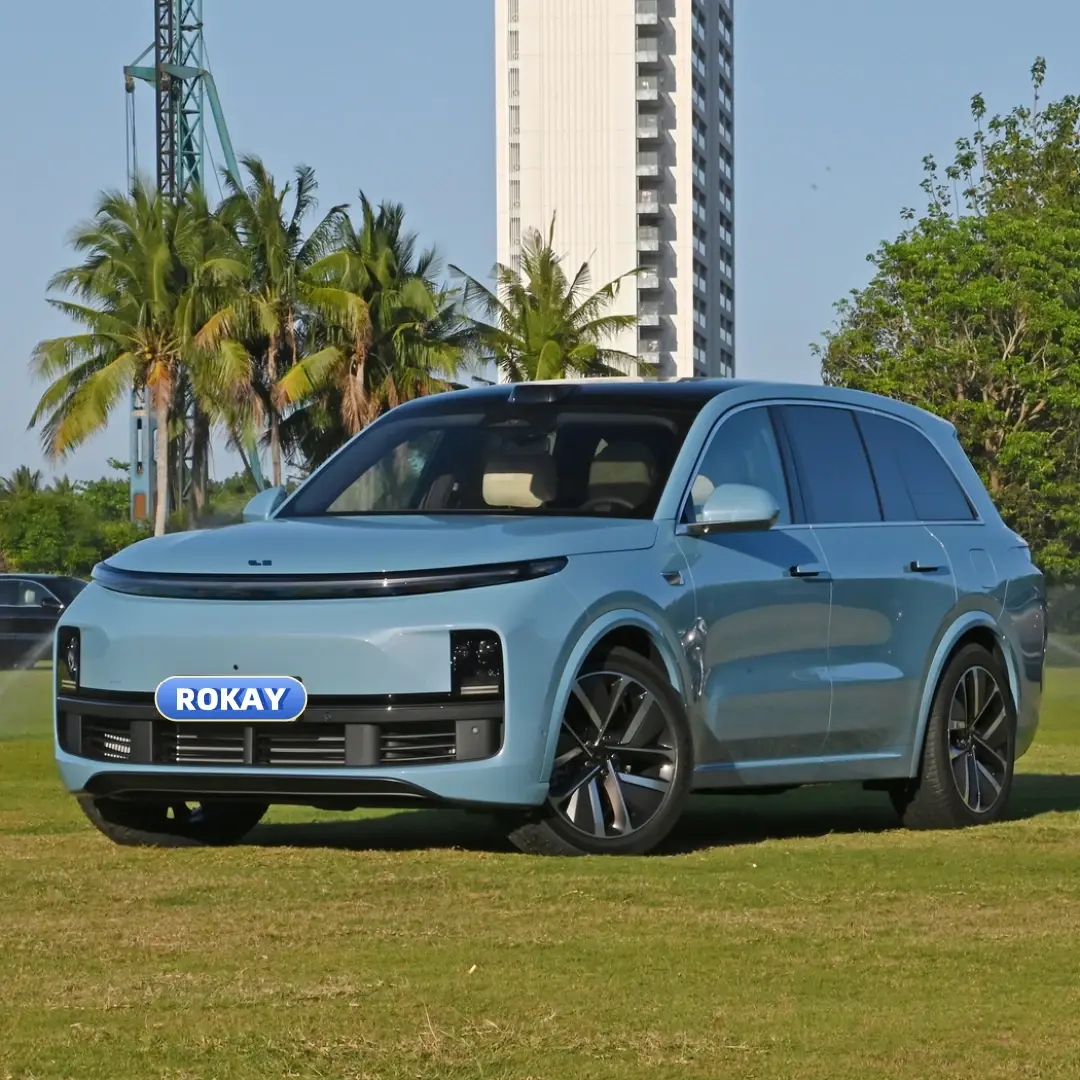 Professional Best Electric Car Manufacturers Company 2