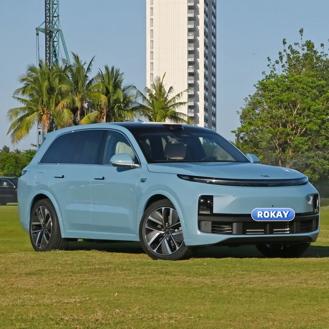 Professional Best Electric Car Manufacturers Company 3