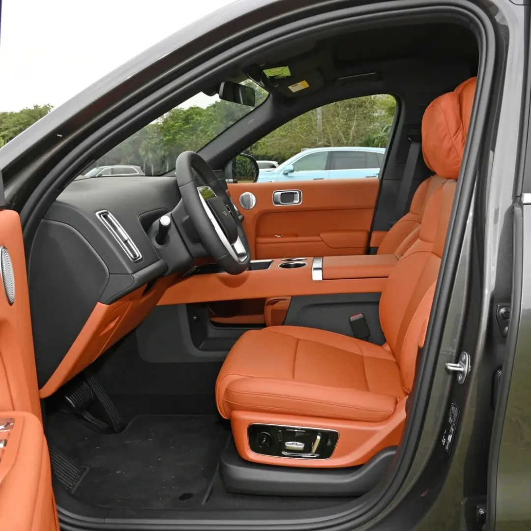 Professional Best Electric Car Manufacturers Company 4