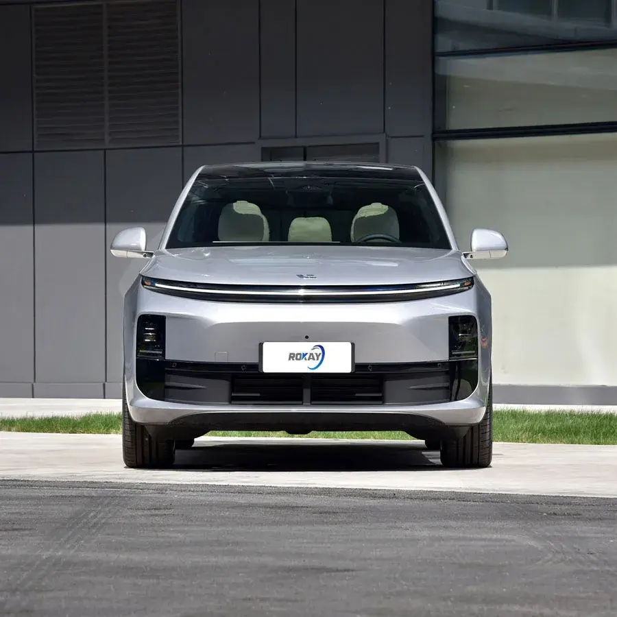 ROKAYAUTO Leading Electric Car Manufacturers Front 4+Rear 4Company 2
