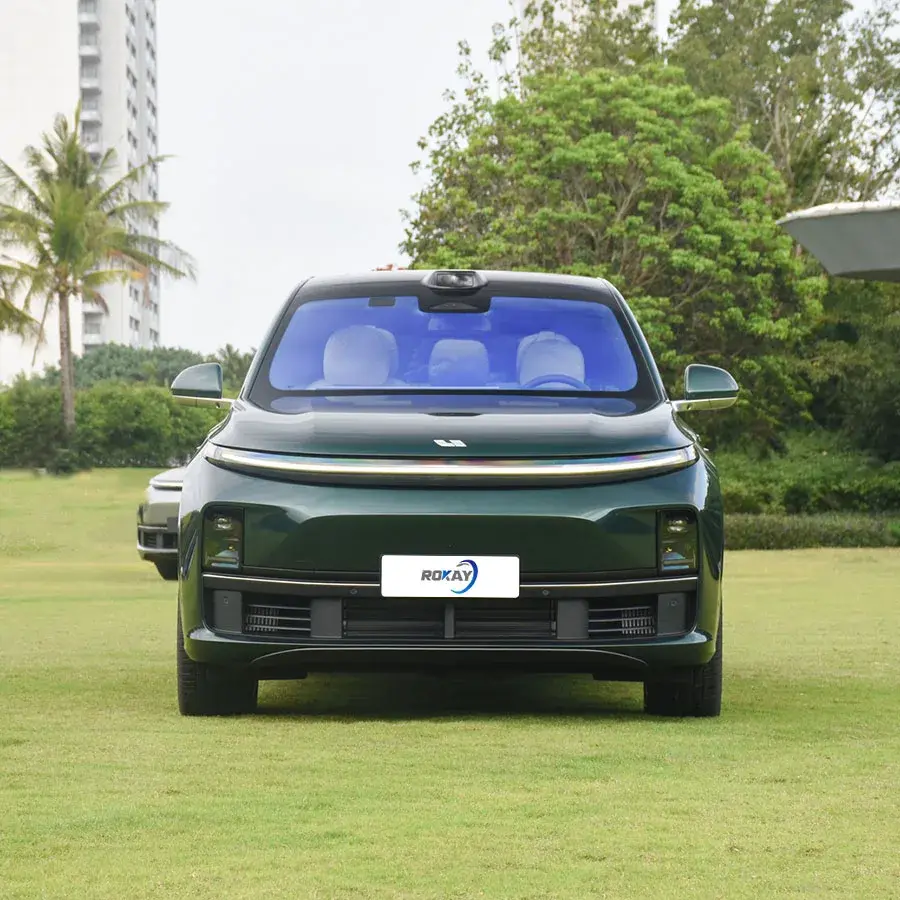 Electric Car Manufacturer Electric Panoramic SunroofSuppliers 3