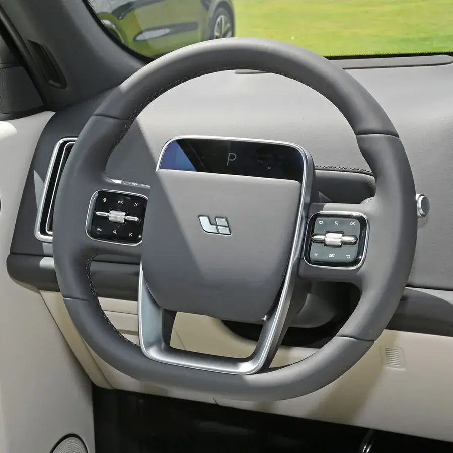 Electric Car Manufacturer Electric Panoramic SunroofSuppliers 5
