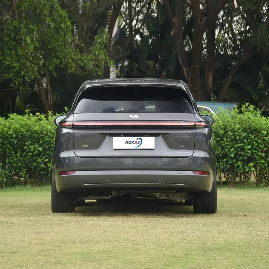 Electric Vehicle Wholesale Left - - ROKAYAUTO 4