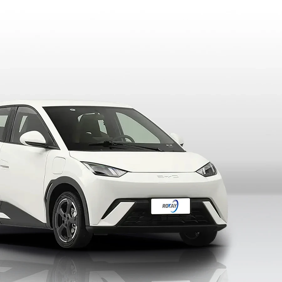 2025 إصدار ديناميكية النورس Rokay Auto Ev سيارة كهربائية نقية صغيرة مركبة طاقة جديدة 1
