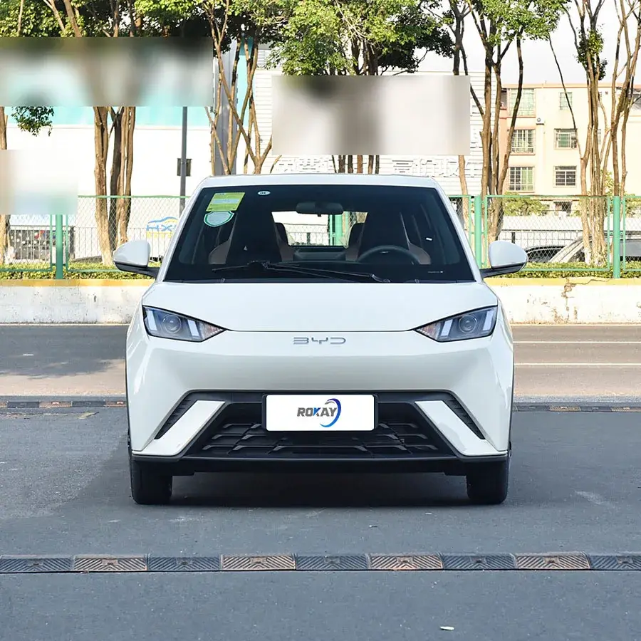 ROKAYAUTO Electric Car Luxury Sedan LEDDealer 3