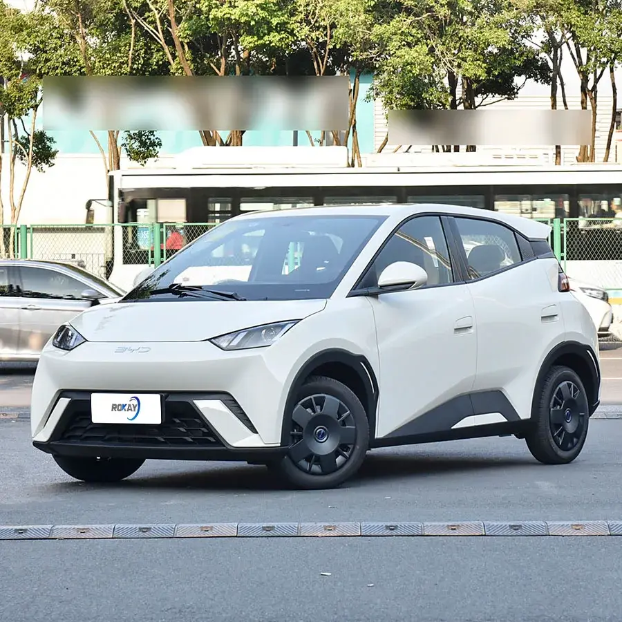 ROKAYAUTO Electric Car Luxury Sedan LEDDealer 4