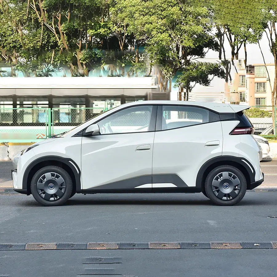 ROKAYAUTO Electric Car Luxury Sedan LEDDealer 5