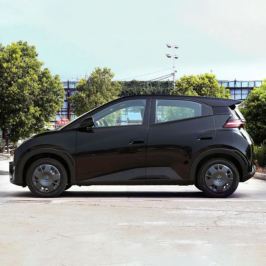Top Ev Car Suppliers 5
