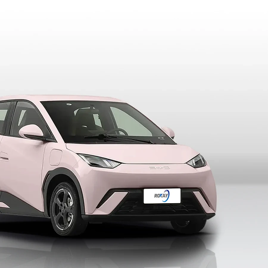 2025 إصدار ديناميكية النورس Rokay Auto Used 305km Cruising Range سيارة كهربائية صغيرة نقية 1