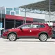 Bestpetrol Suv for Sale 4 4460X1825X1620 5