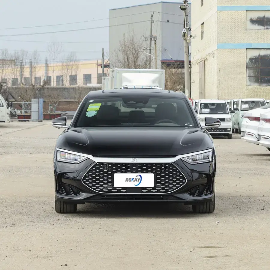 Top-Quality Electric Car Luxury Sedan New ROKAYAUTO Brand 3
