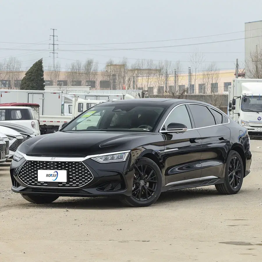 Top-Quality Electric Car Luxury Sedan New ROKAYAUTO Brand 4