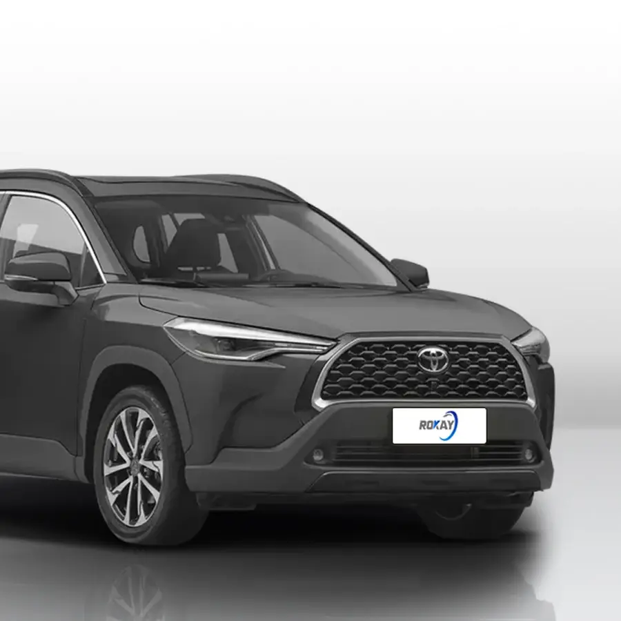 Latest Petrol Hybrid Suv Manual ROKAYAUTO Company 2