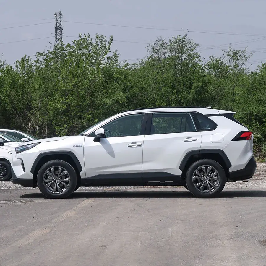 OEM Petrol Cars ROKAYAUTO Multi-function 5