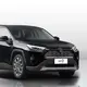 Top Petrol Hybrid Suv Factory 2